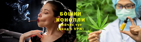 apvp Аркадак