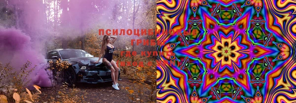 apvp Аркадак
