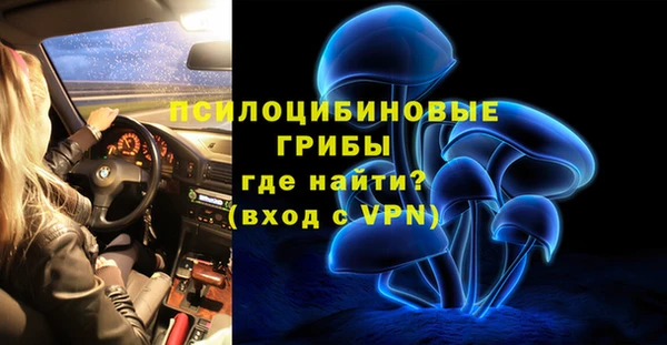 apvp Аркадак