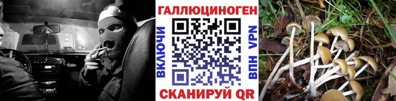 Псилоцибиновые грибы ЛСД  Озёры 